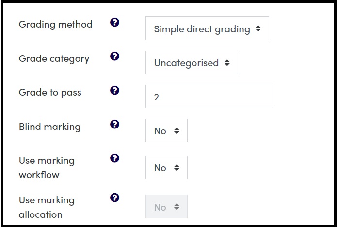 Screenshot of other grade settings in assignment activity