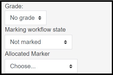 Screenshot of marking workflow and allocated marker activated in Assignment activity