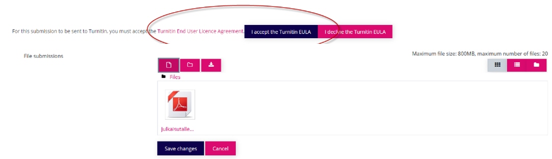 Screenshot image from Moodle. The link of Terms and Conditions as well EULA accpeted button is encircled.
