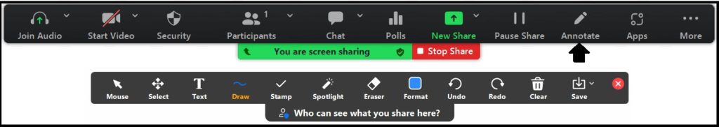 Annotating tools when you are sharing the screen.